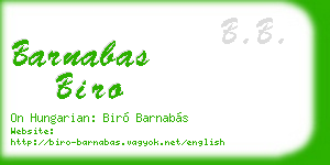 barnabas biro business card
