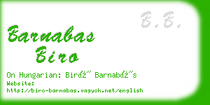 barnabas biro business card